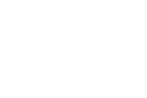 Online Reputation Management