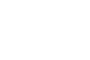 Social Media Management